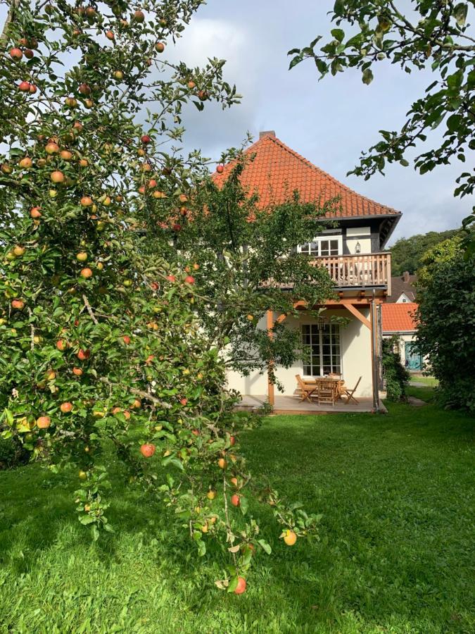 Apartmán Forsthaus In Waldhessen Bauhaus Exteriér fotografie